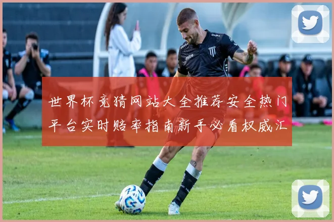 世界杯竞猜网站大全推荐安全热门平台实时赔率指南新手必看权威汇总